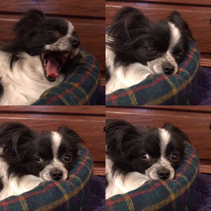 84bc8f8d db46 421a 847f e51279488016