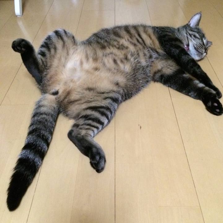 84bc9bd6 ed99 4b27 85bf 37b0802f4d49