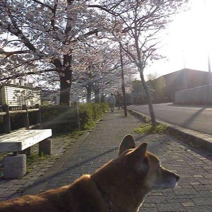 84bcf198 f7e1 4828 a28d 8c730a266e27