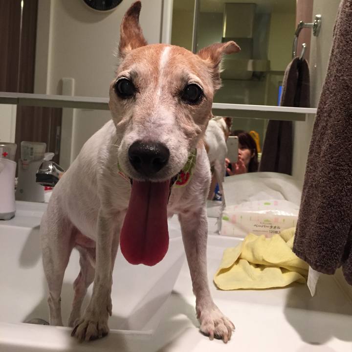 84bd9bed 1cc0 4967 9dd6 63745cf8ad06