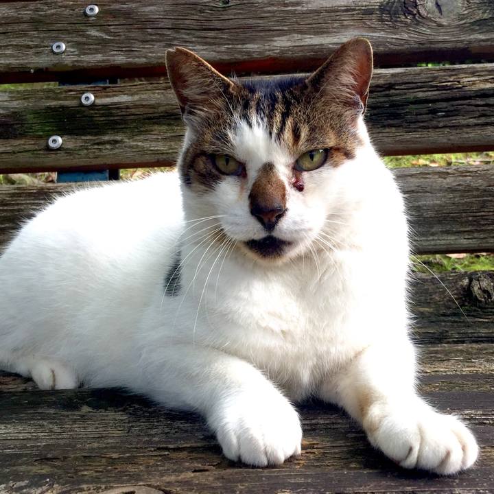 84be578d fbb0 481b 8f8b 8ea938182dd2