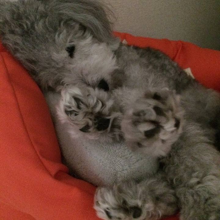 84be7cb9 a89d 4bcc 9e6d c37e50dacf67