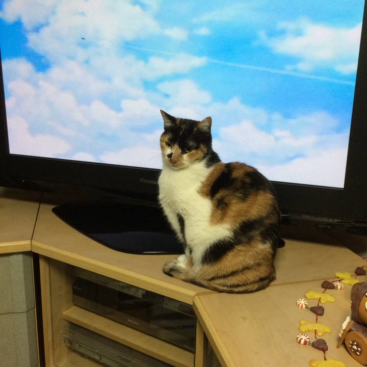 84bea594 40f3 4139 9ffd 4e93725138cf