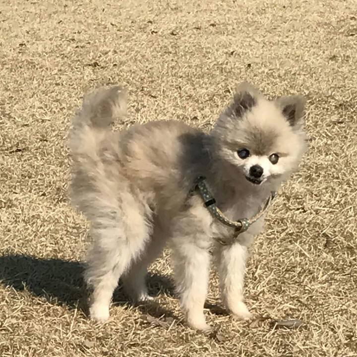 84bea69e 4c26 47ce adf1 3d5feee52236