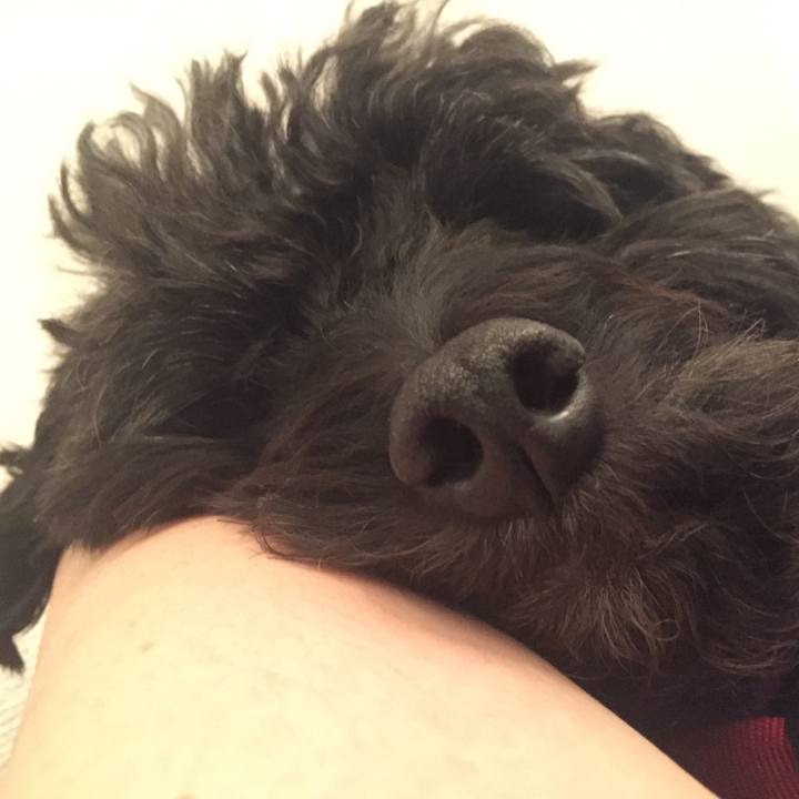 84bfa35a 70d4 4c7c 8e96 de52705e8650