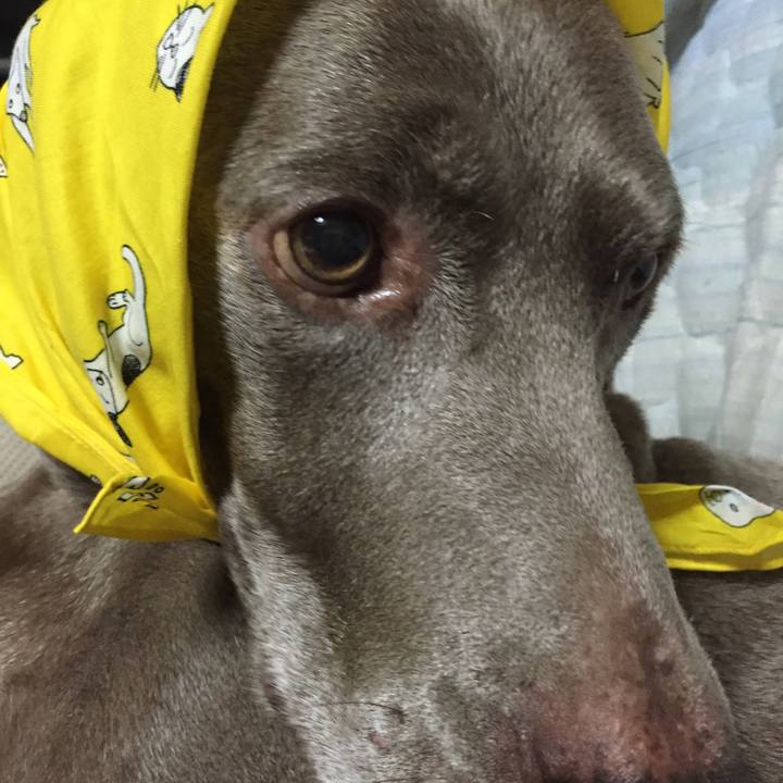 84c02d3c ccf7 4da0 ab3a c45e422eda64