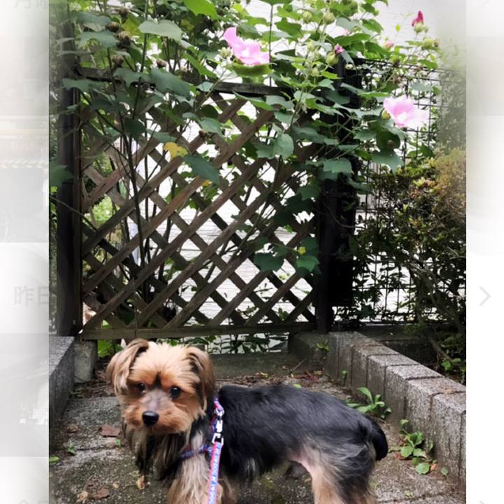 84c03a5f 22c2 4393 8859 86cc2cb48166