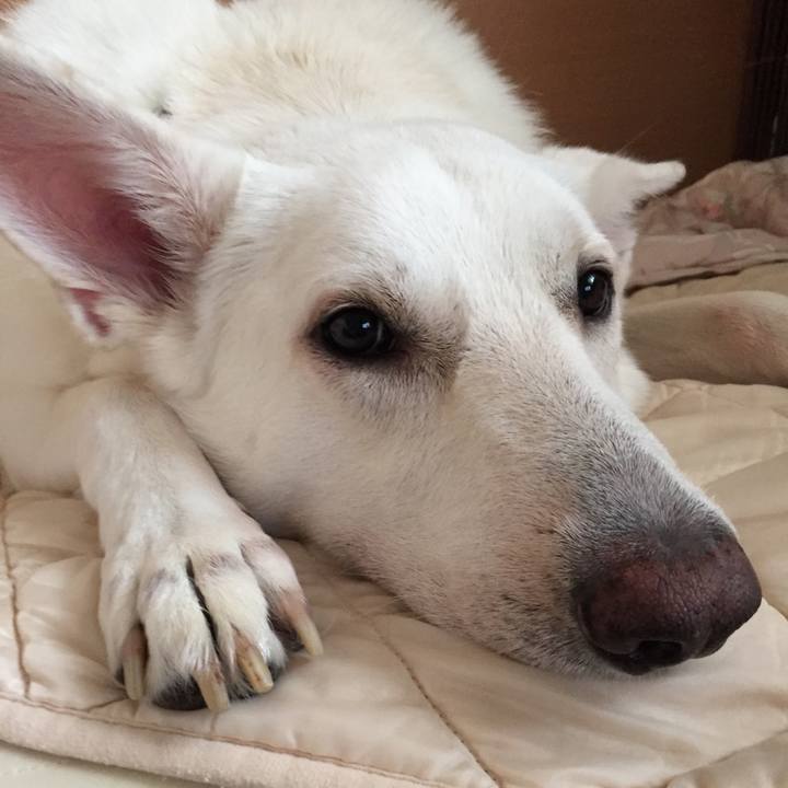 84c0aed6 aab3 4f5f 99f6 8e89bcc6d906