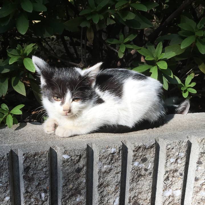 84c0c2b7 33d3 44be 96f5 93db778759d8