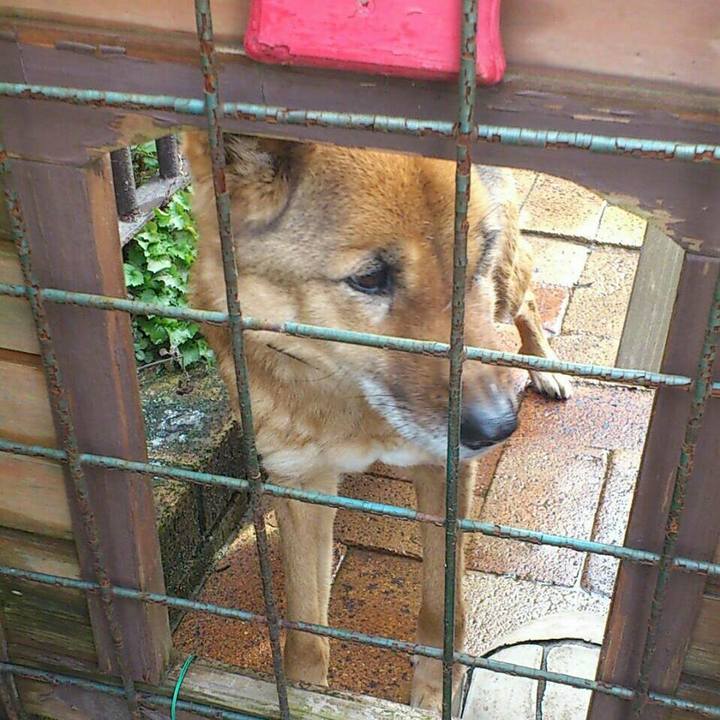 84c1af97 0a95 4a15 afcb c1606821927a