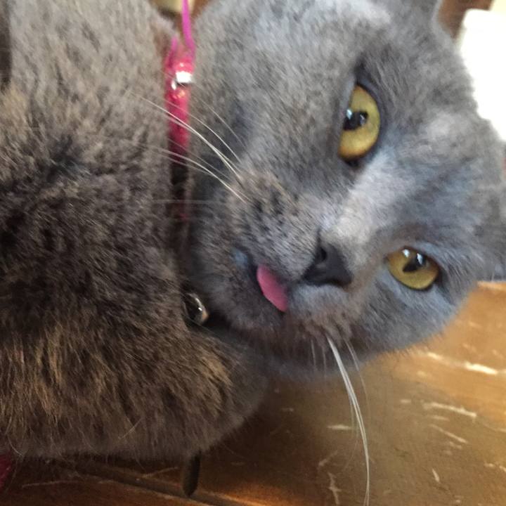 84c21a0c 750c 4514 a476 c0ccb207713d