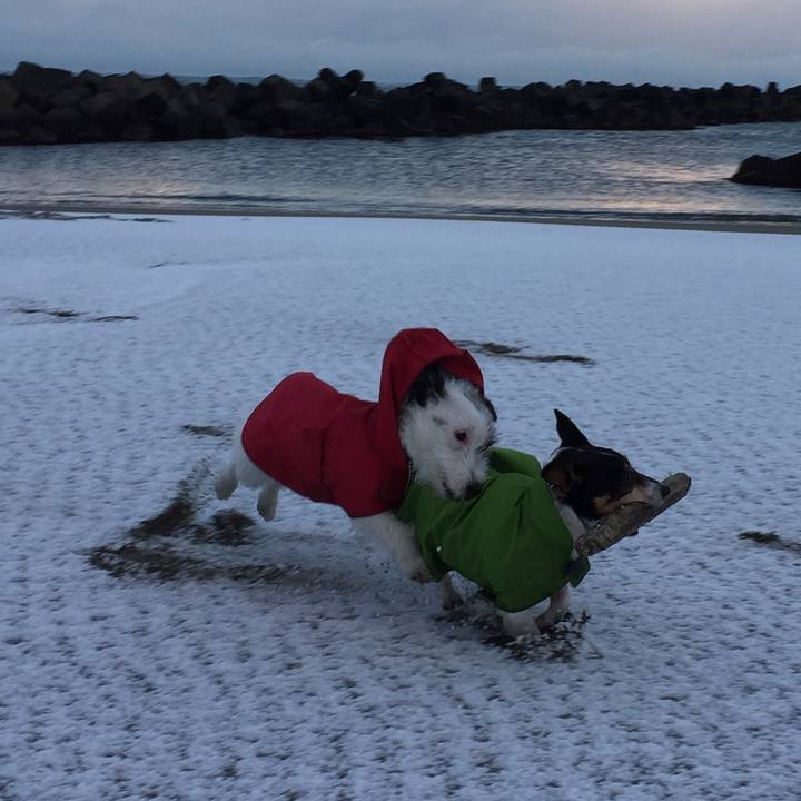 84c3012b 2412 43f1 a35e 8f5963bbf642