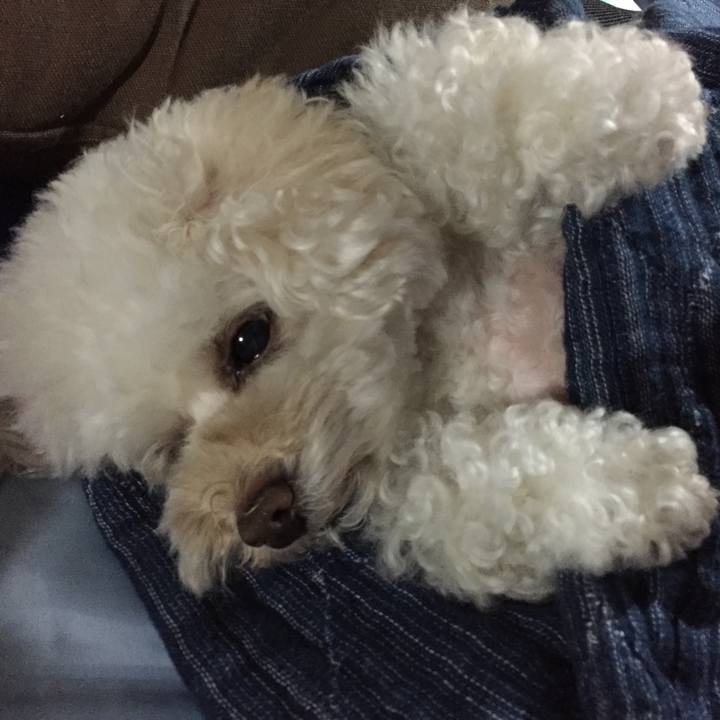 84c31065 44c6 48d9 acc7 083ecb975d6d