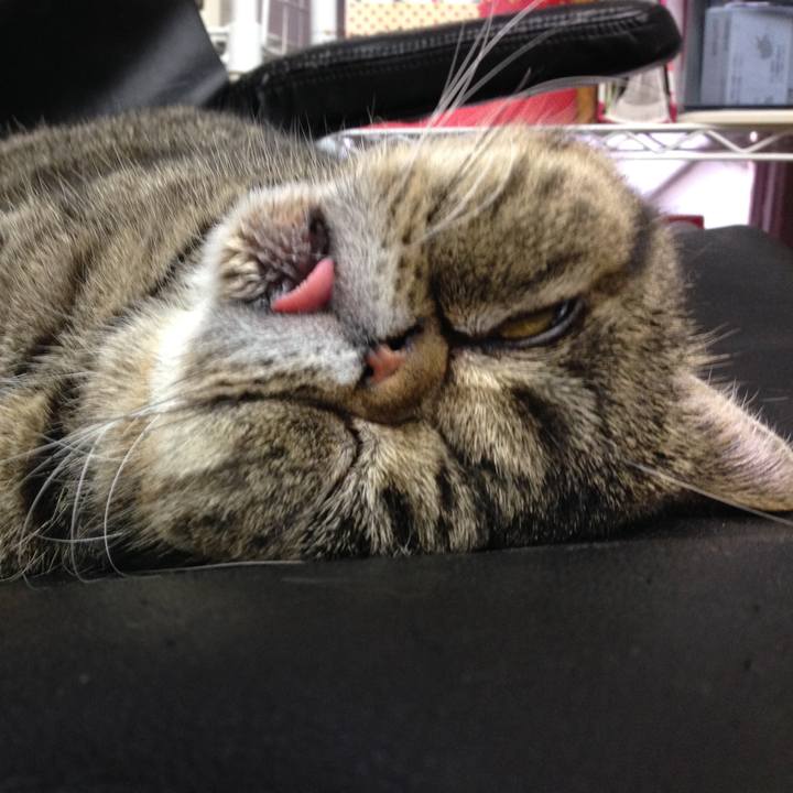 84c32039 8b80 45c2 b7a4 471bcd1eff4b