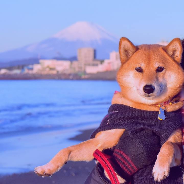 84c34656 c065 441d 8005 6435cc97fbad