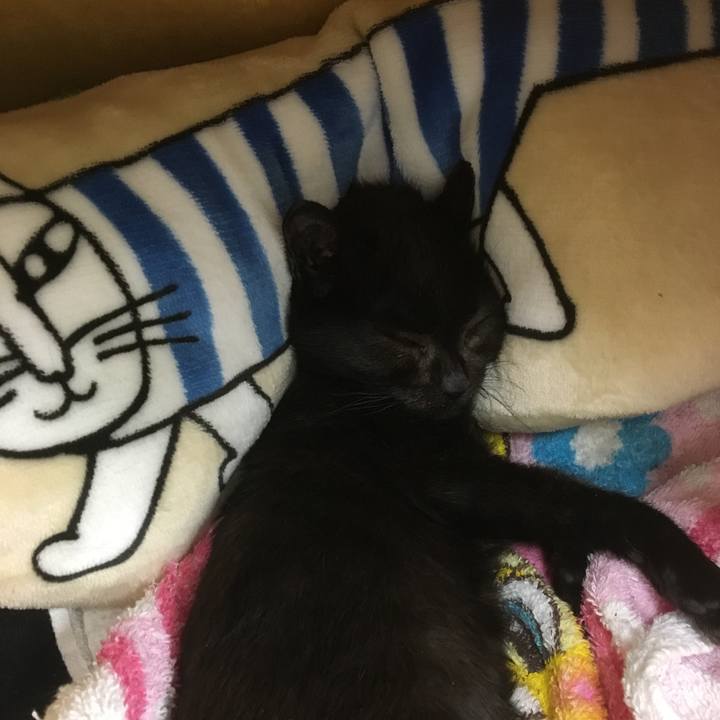 84c489a4 b690 4ed4 a800 8871b140d88e