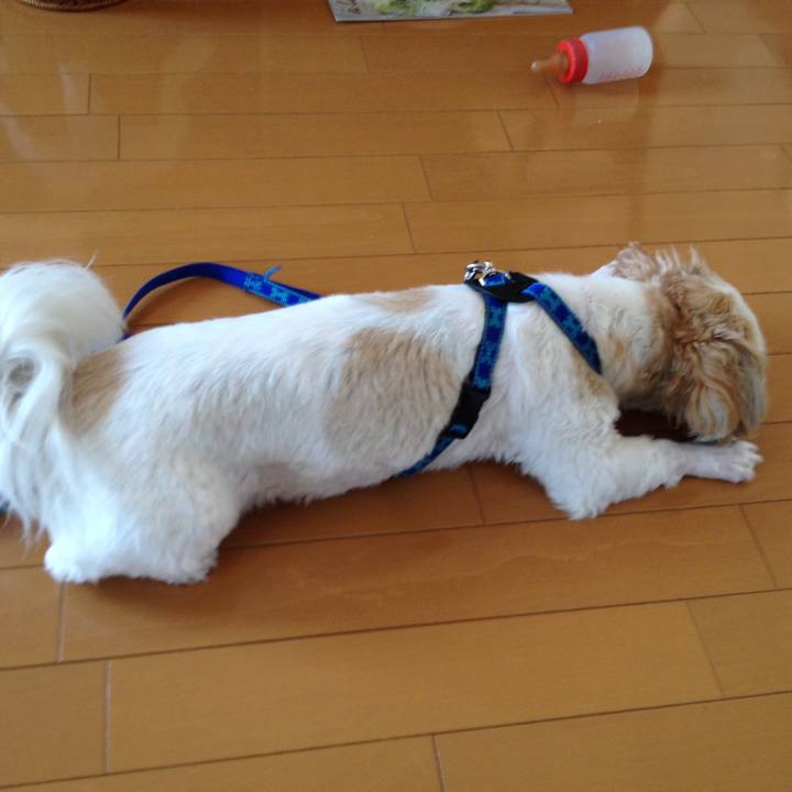 84c495a8 a70c 45f5 a28f 0f9f8a0066c5