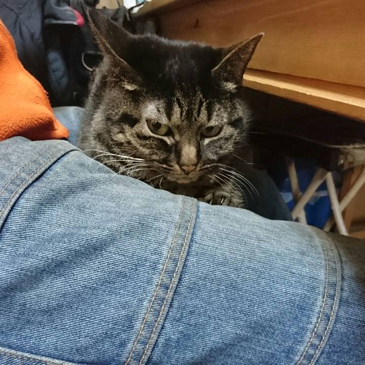 84c53bf1 2c3c 4df5 93e2 893e212c69ac