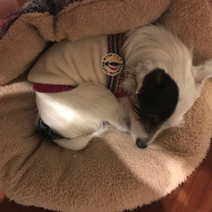 84c57e87 26fa 46fc 9563 9bda6aec32fd