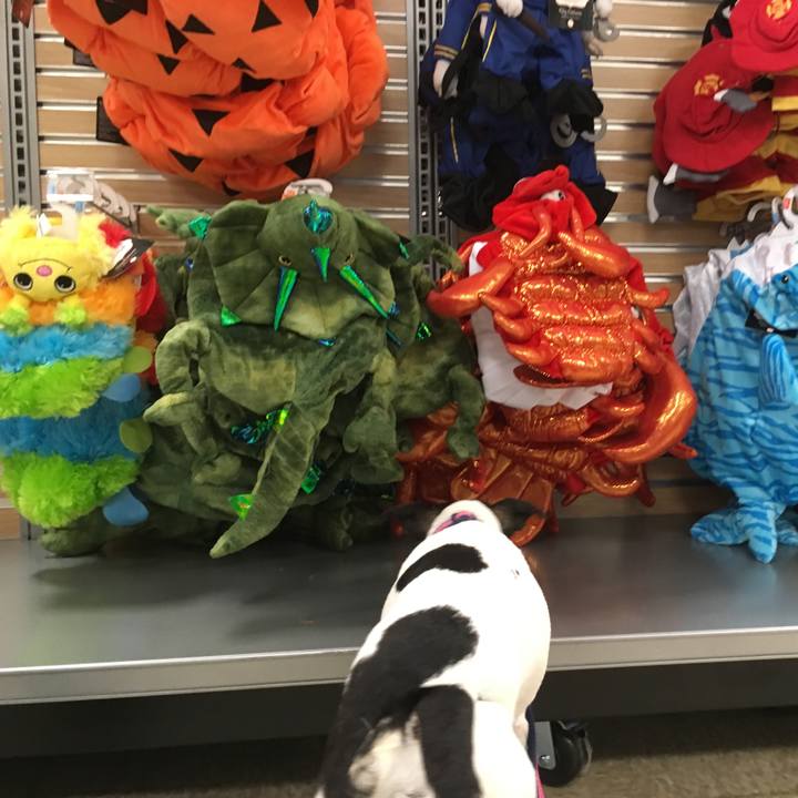 84c6209d cedd 430d a529 bede73b0316b