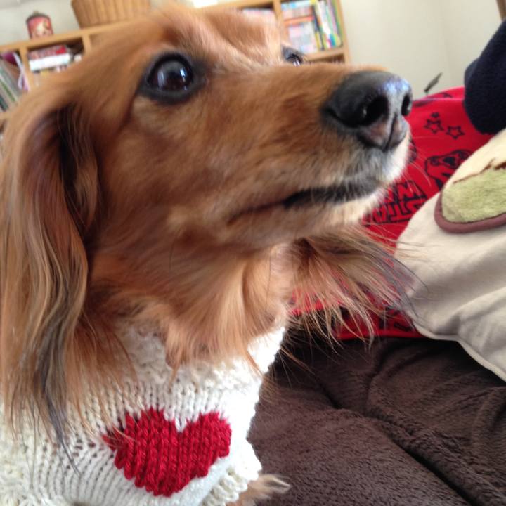 84c77a22 4437 4d56 ab92 894540732a52