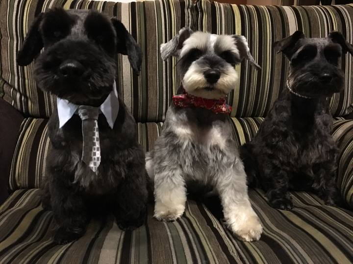 84c795d6 0ecb 4286 8cc7 c41712a7c049