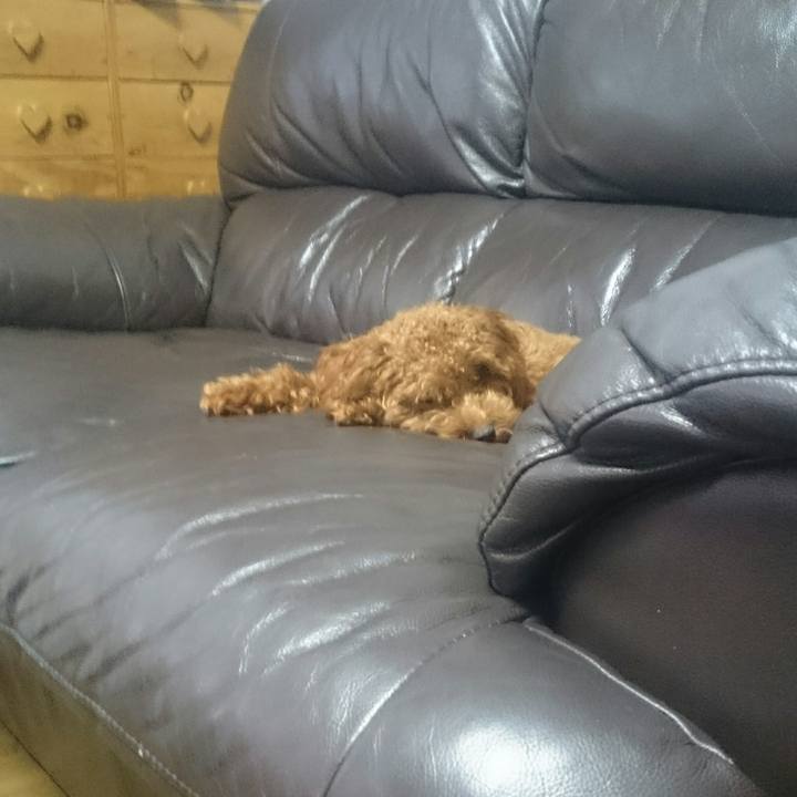 84c927e7 b12a 4e37 8630 853396c1a8c6