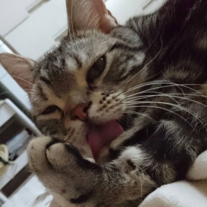 84ca2da0 8430 4e25 a407 d8d44a45a6c1