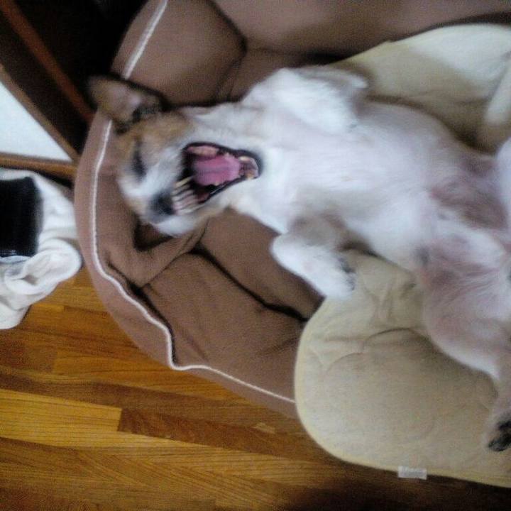 84ca5564 948b 49a3 9ab0 41088facfdda