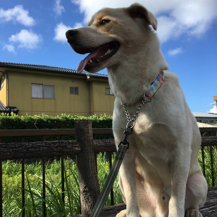 84ca7220 b497 47bc a65d aa630e4acf67