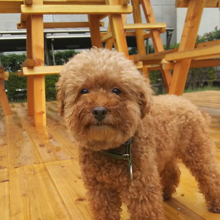 84cb1efd 69f0 4f96 bbfd f60c4782372c