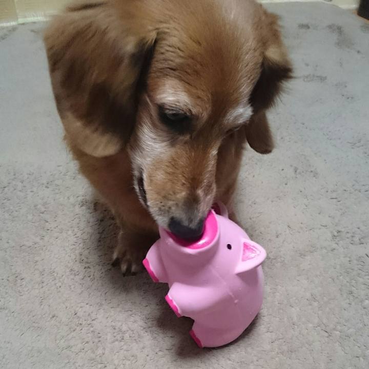 84cc481a 07e2 4c81 b291 d7c9356f2104