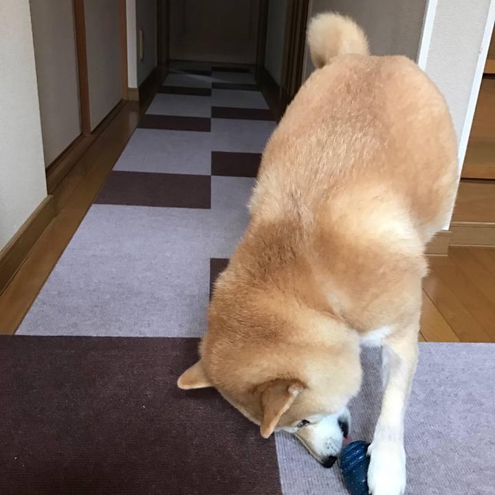 84ccada3 f89a 4798 9f63 e99543fb2fd7