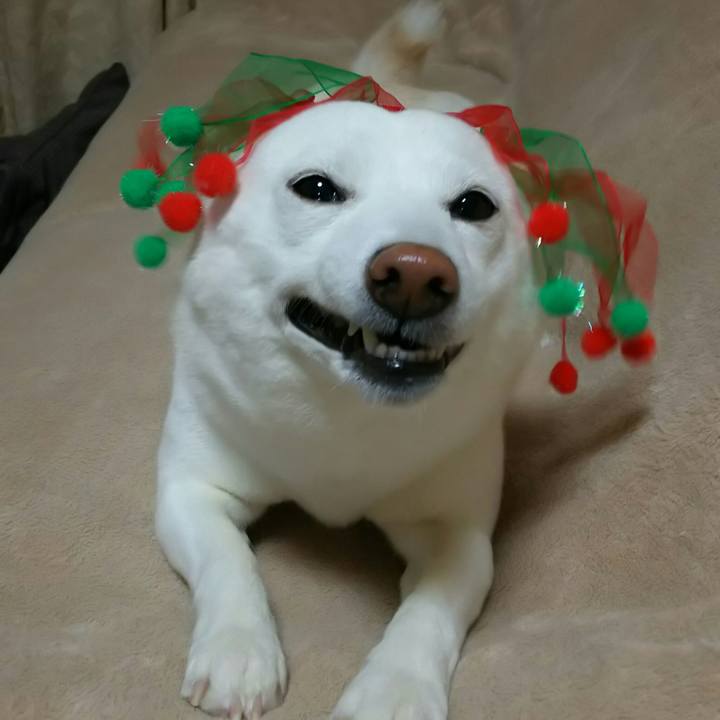 84ccadd8 515b 4d00 8c65 a339b07b26a6