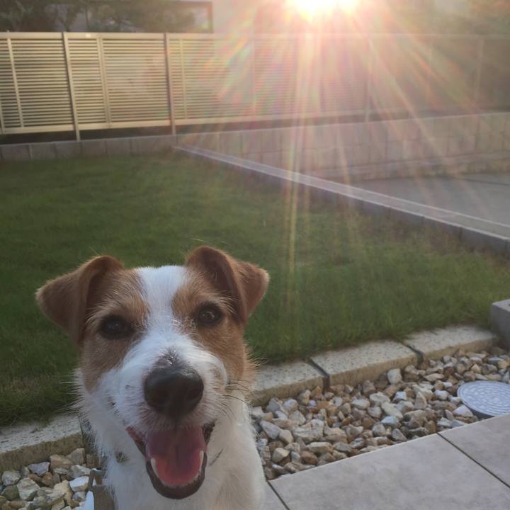 84ccbbf9 0b8e 4b08 a2f3 5dc95d71f801