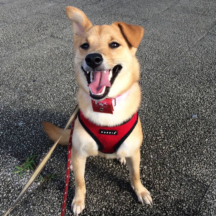 84ccc5b2 10a7 44a7 ae34 b14104275447