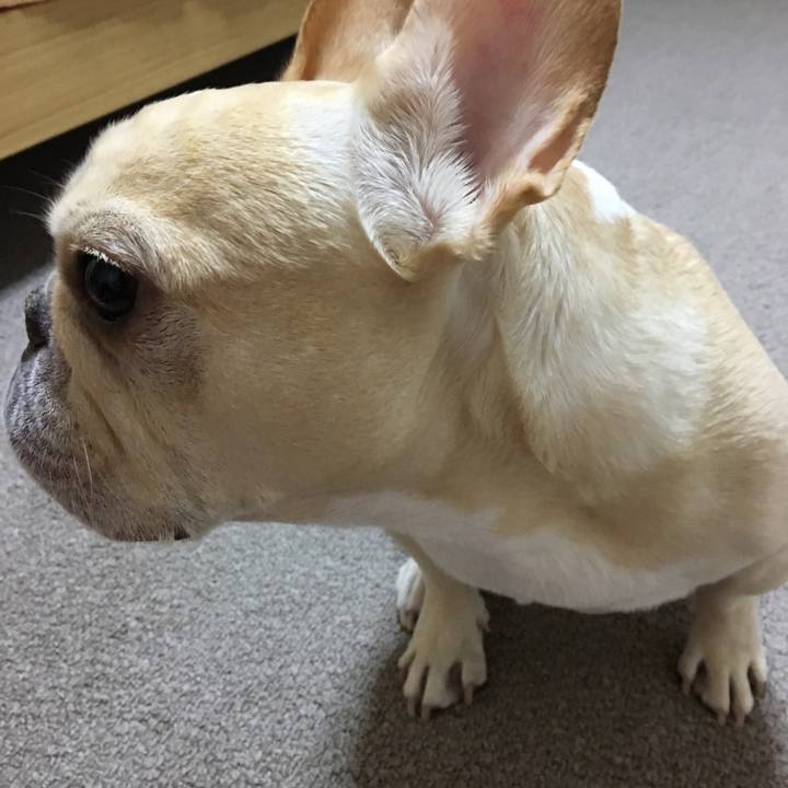 84cd8cda 8877 465e abc2 c3be6010be10