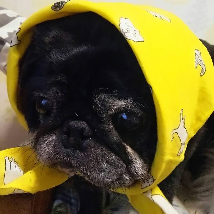 84cdc6b7 696d 4afd 9602 19b3eb8032fb