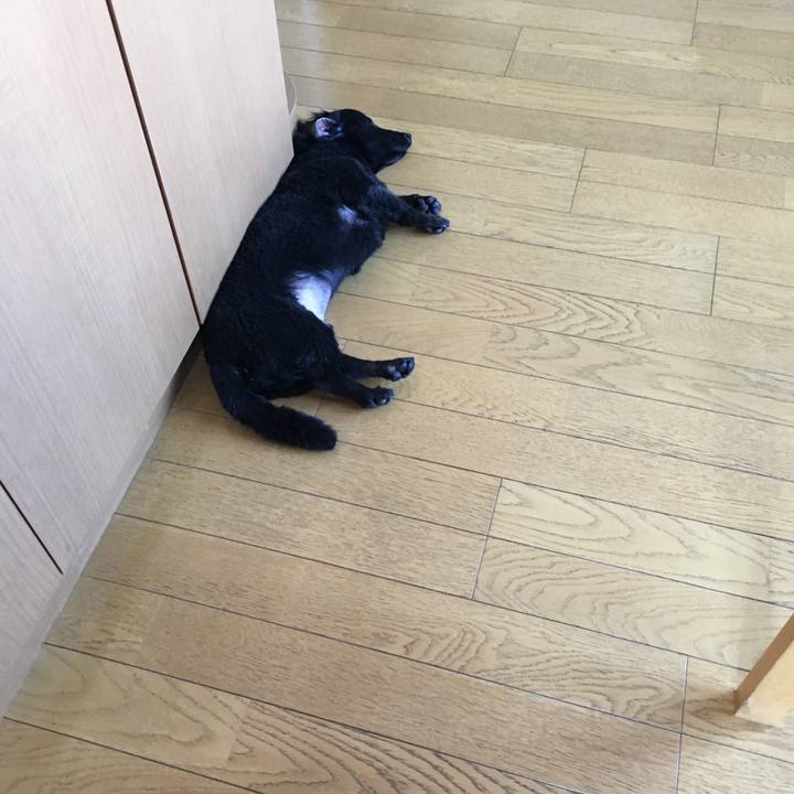 84cdcc85 efa1 4c49 975b 12e51d4cb5bf