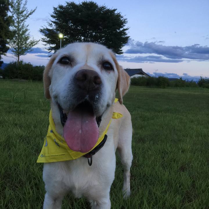 84ce02aa 8c9c 4171 9e42 3a853970be15