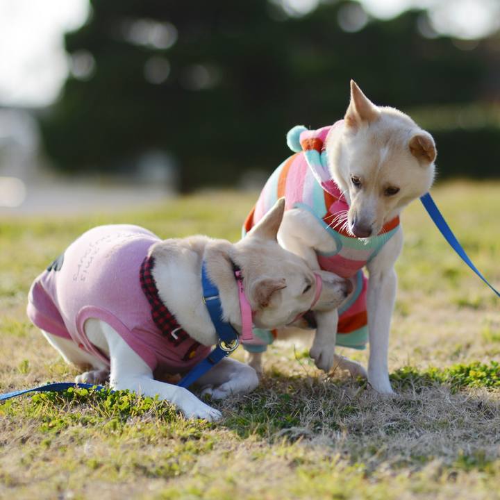 84cedb8d 2cb8 4f21 a49c c45276ef155e