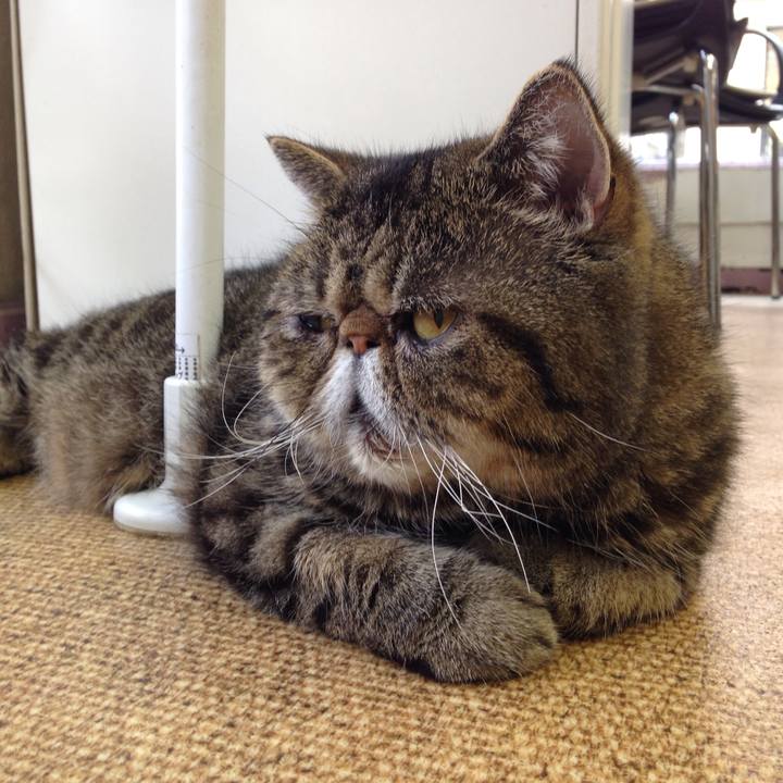 84ceed0b cd07 42ba b6dc 370edac48181