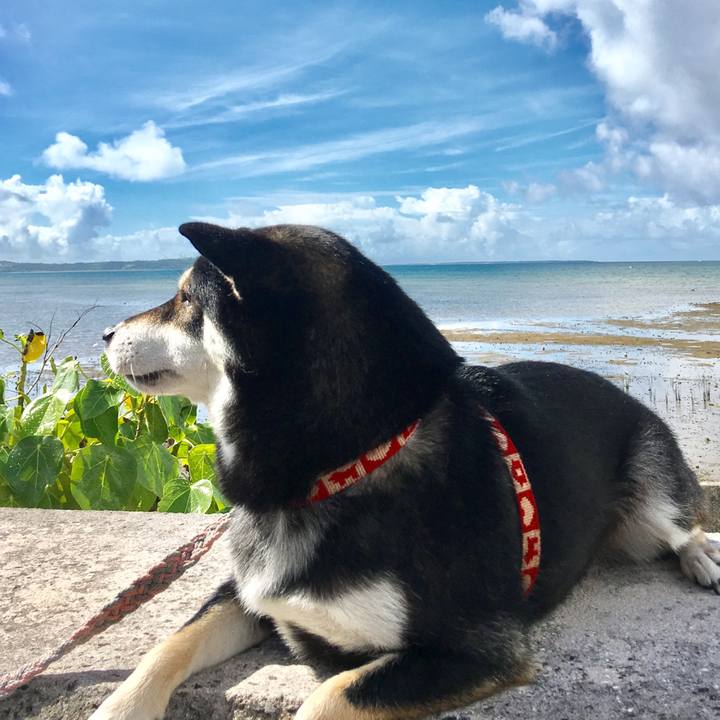 84cf0f7d 3089 4a0a 9bb3 c4e82d0006f6