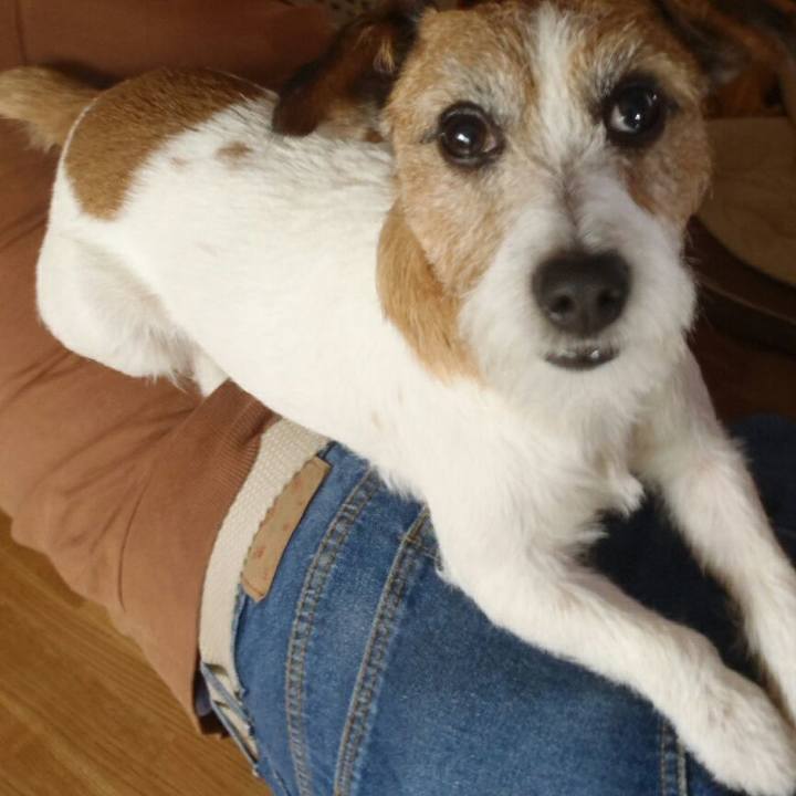 84cf8334 4b32 432e 95e9 777daeef1ecd