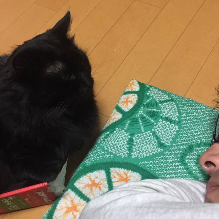 84cf98ec 573b 4da4 8337 83a0904515f3