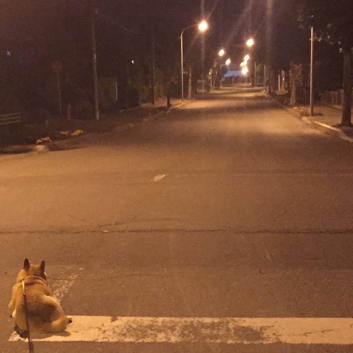 84cfdd4f 0923 4124 be46 3e07917e0194