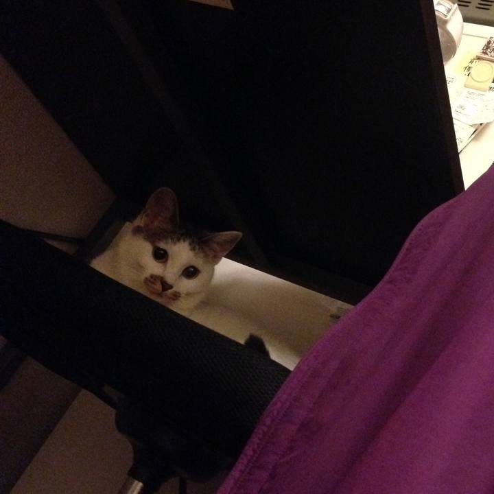 84cfddcb a176 4abb b2e1 1f656ae0d78a