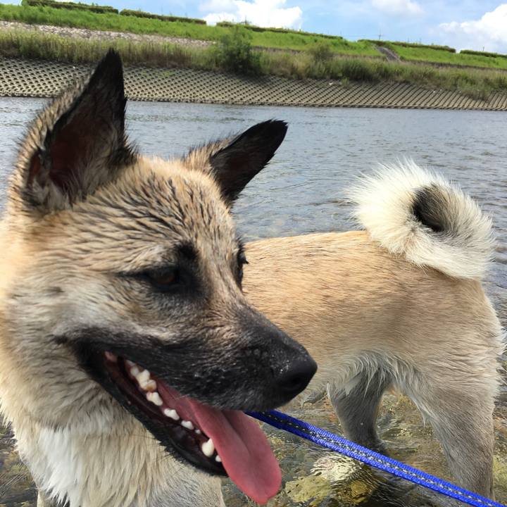 84d08cec fef5 4ab2 ad73 c7a300d90a43