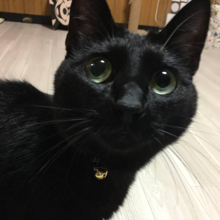 84d0d93c a3c9 4c1c a1f4 5903dcf0f14d