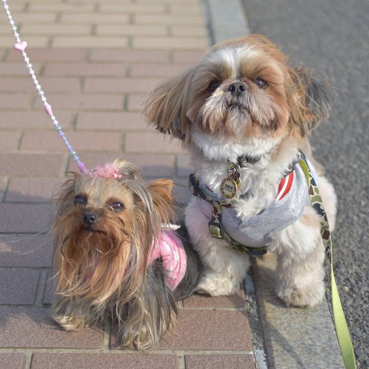 84d0f939 634f 4175 9e31 e21d535e5615